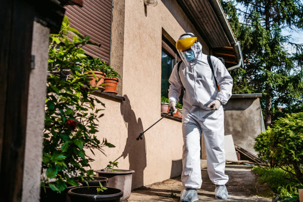 Best Affordable Pest Control Services  in Fayetteville, PA