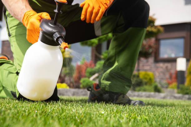 Best Pest Removal Services  in Fayetteville, PA