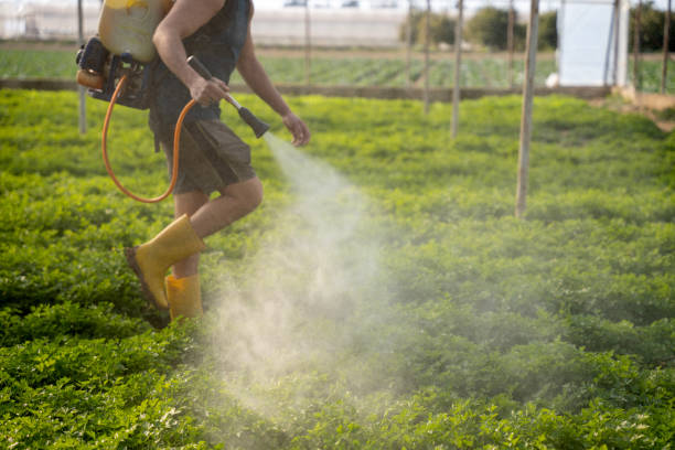 Best Best Pest Control Companies  in Fayetteville, PA