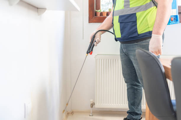 Best Wasp Removal Services  in Fayetteville, PA