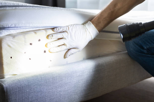 Pest Control Cost in Fayetteville, PA