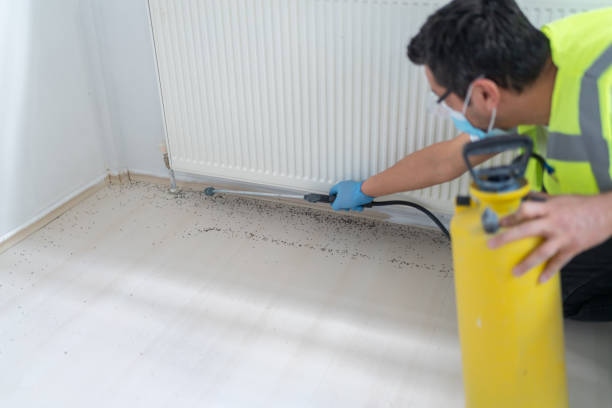 Best Affordable Pest Control Services  in Fayetteville, PA